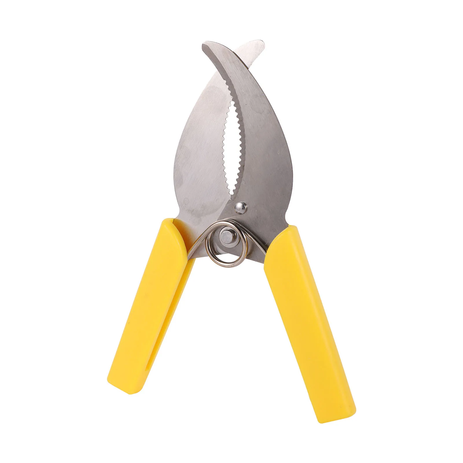Sawtooth Scissors