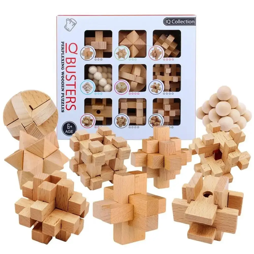 Classic Puzzle Mind Brain Teaser 2D 3D Wooden Puzzles