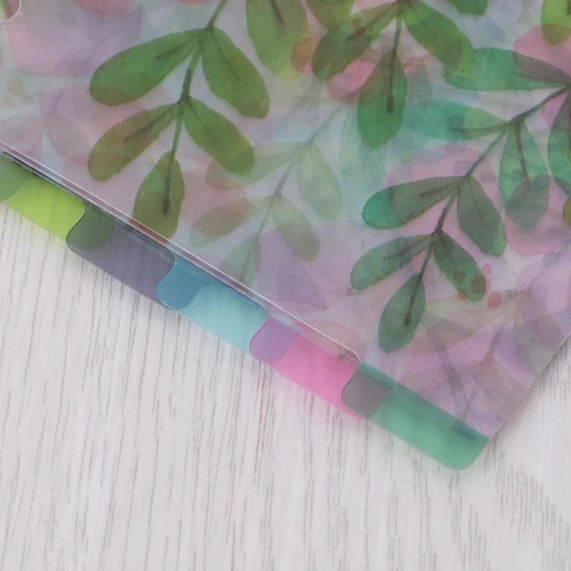 Catoon Clear Divider Index Pages 6-Holes Binder 용 분류 된 분류