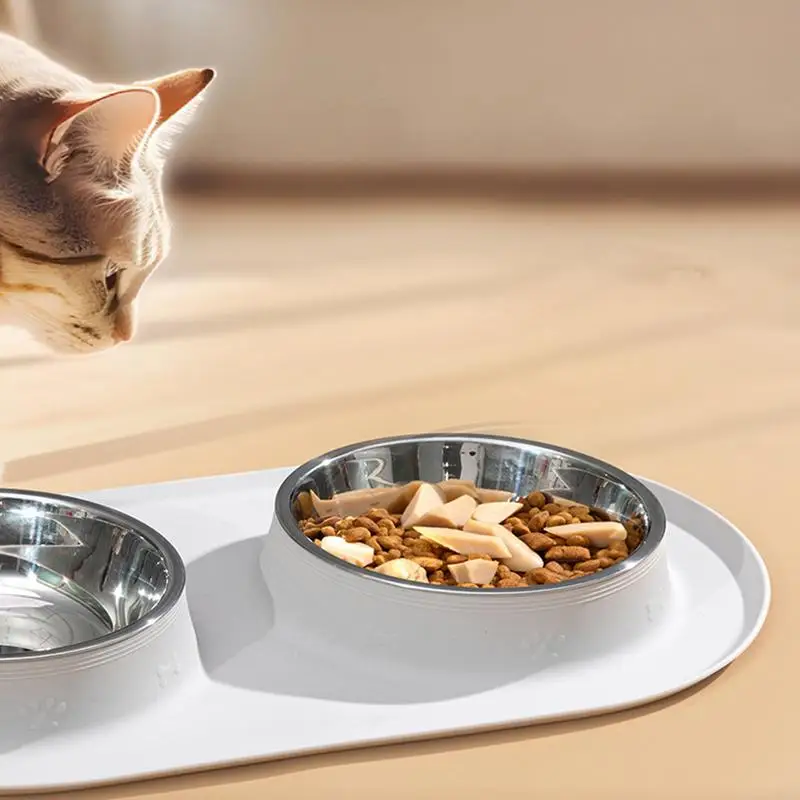 Anti Slip Silicone Dog Food Bowl with Mat