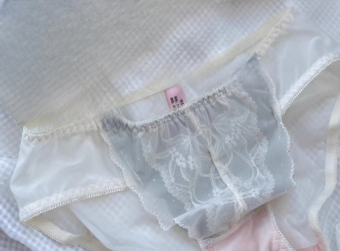 Victorian Inspired Demi Bra & Knicker Set | Sheer Mesh Lace Push Up for Small Bust, Anti-Sagging | Luxury Lingerie MOYISU Panty