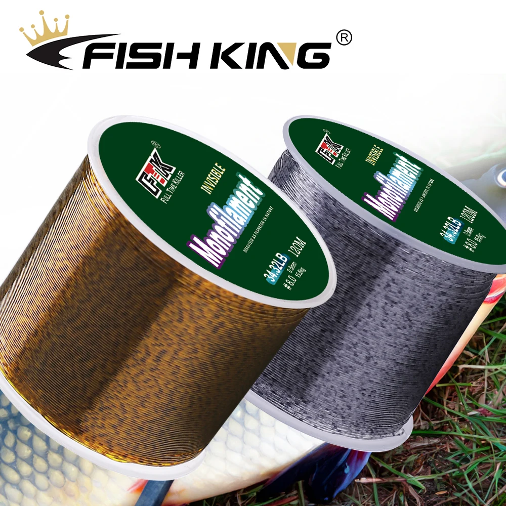 FISH KING-Ligne de pêche monofilament 3D à revêtement fluorocarbone, fil invisible de 120m, pour pêcher la carpe