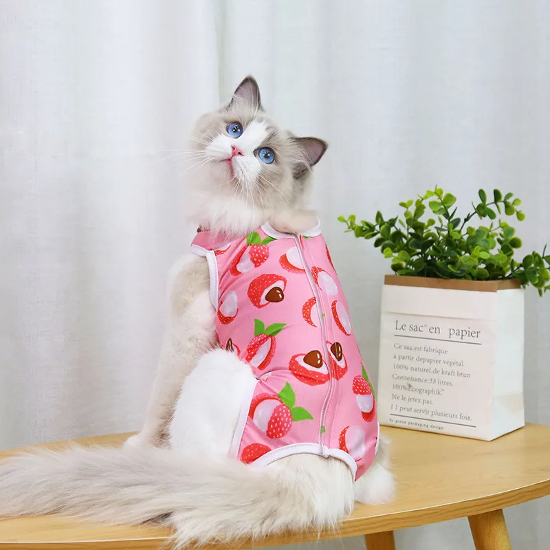 thumbnail image 1 of Traje de esterilización para gatos con estampado, antilamido, para cirugía después de la recuperación, ropa transpirable para el cuidado de mascotas, ropa para gatos de primavera y verano, nueva, 1 of 5