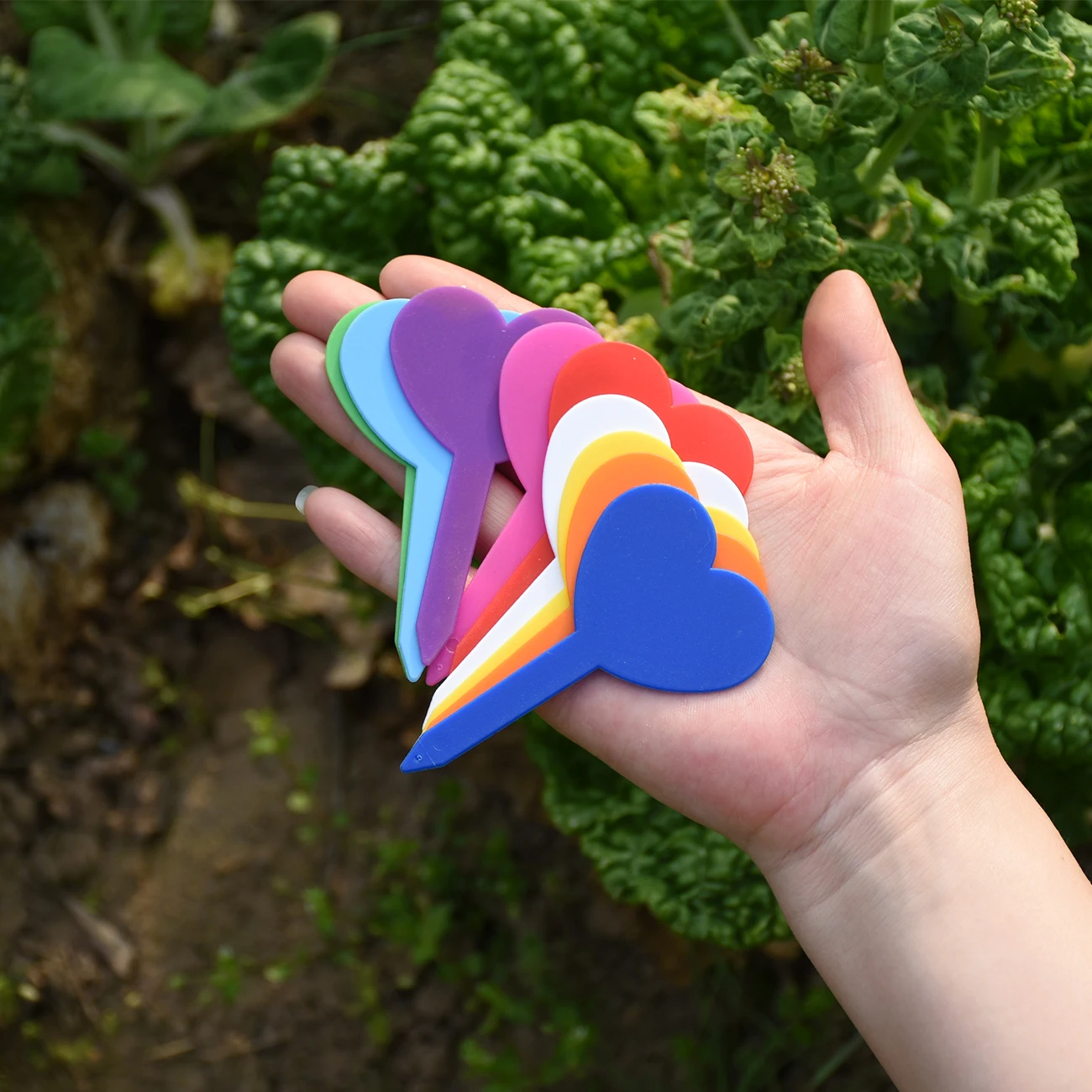 Рисунок 5 - ярлыки для украшения сада