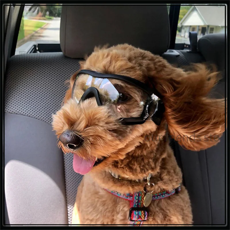 Dog Goggles for Small Breed Dog Sunglasses Dog UV Sunglasses Windproof Soft Frame Adjustable Straps for Small/Medium Dogs Puppy 3