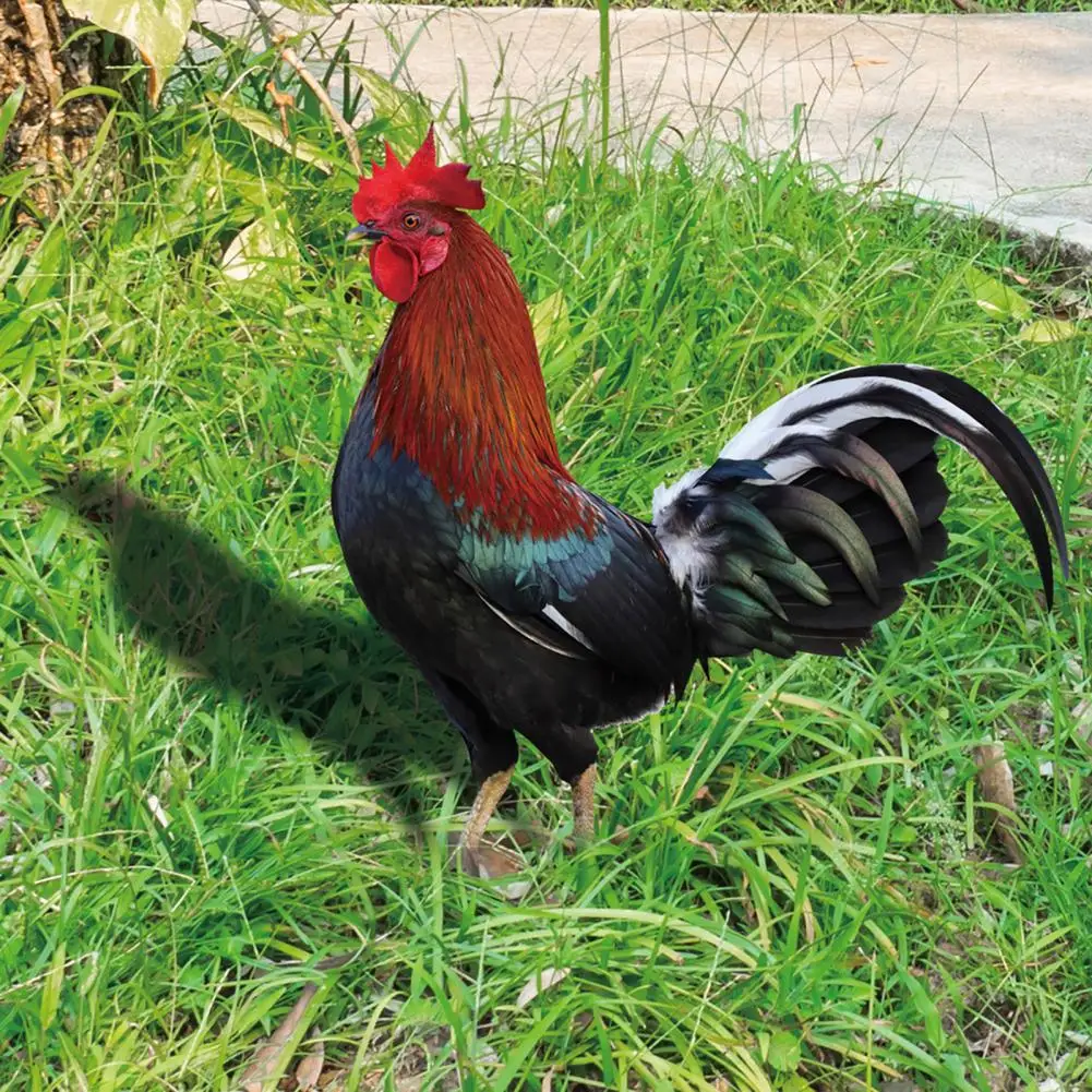 Rooster Decoration Garden Chicken Statue Home Supplies Acrylic Garden Statue Chicken garden chicken statue