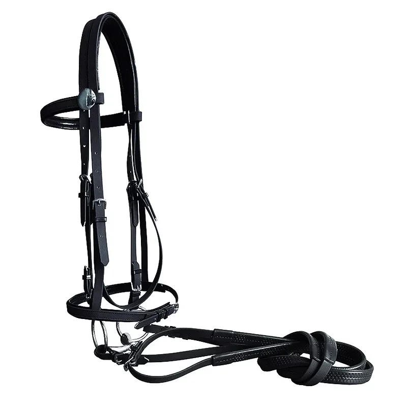 pvc-resistente-cavalo-cabeca-colar-cabecalho-moda-equestre-equipamento-bridle-equitacao-equitacao-corrida-2024