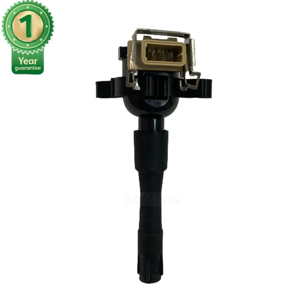 Bobina Di Accensione Oem 12137599219 12139067830 Ap03 12131703825 12131404309 Per Bmw E31E36 E38 E39 Alpina Land Rover Range 45 75