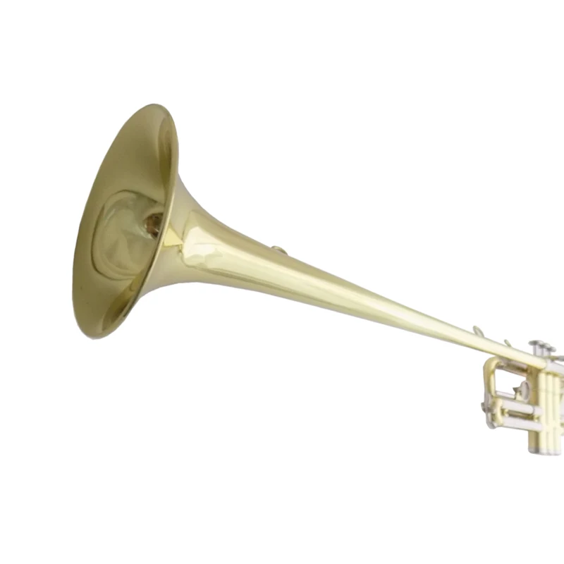 Bb Herald Trumpet Musical Instruments Lacquer Yellow Brass Body with Case Mouthpiece