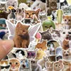 50Pcs Kawaii Funny Cat Stickers Pack Waterproof Laptop Phone Scrapbooking Motorcycle Car Korean Decal Sticker for Kids Toys 3