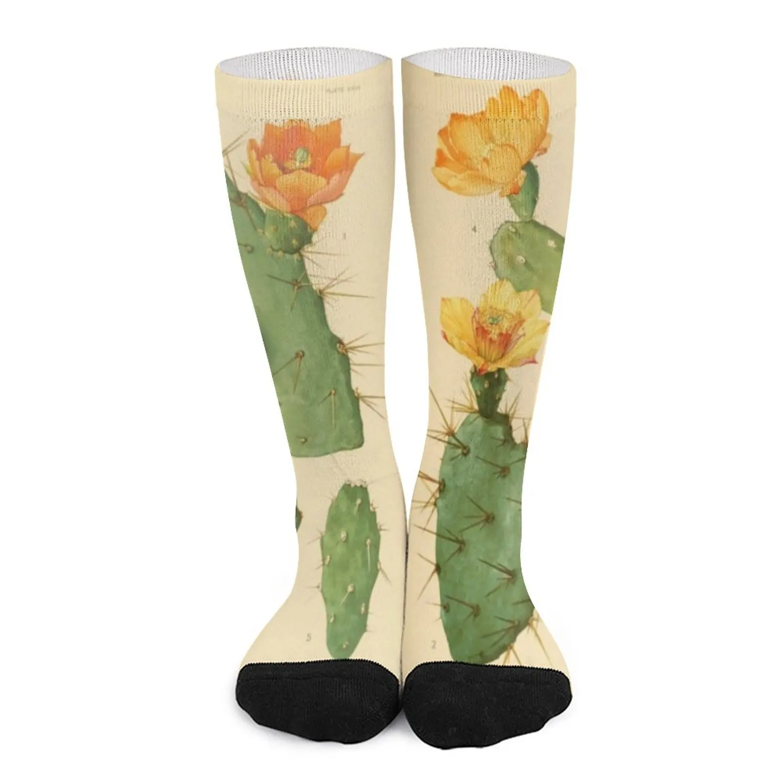 Prickly Pear Cactus Socks Children's socks cotton socks men hockey калька cactus cs tr95 a4250 250л a4 90г м2