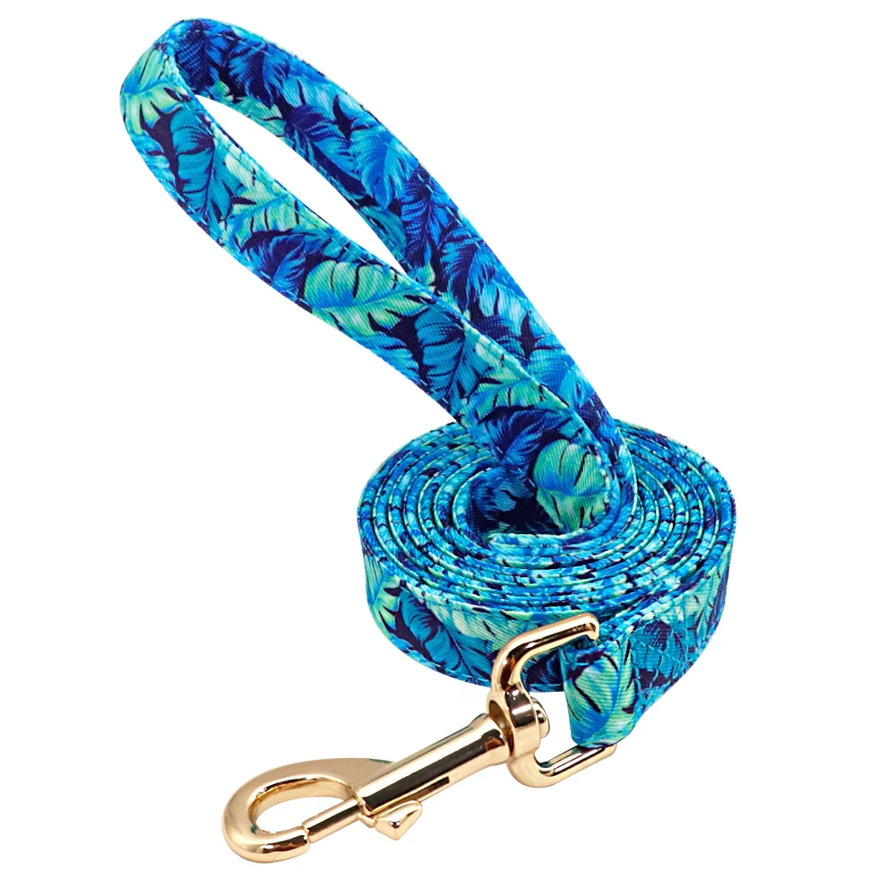 blue leash