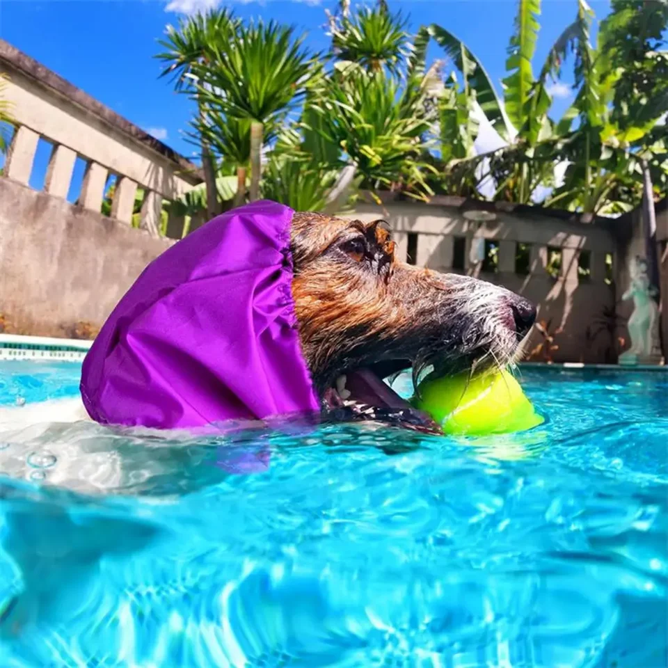 Cappello Antipioggia Per Cani - Cuffia Protettiva Per Doccia E Nuoto - Foto 11