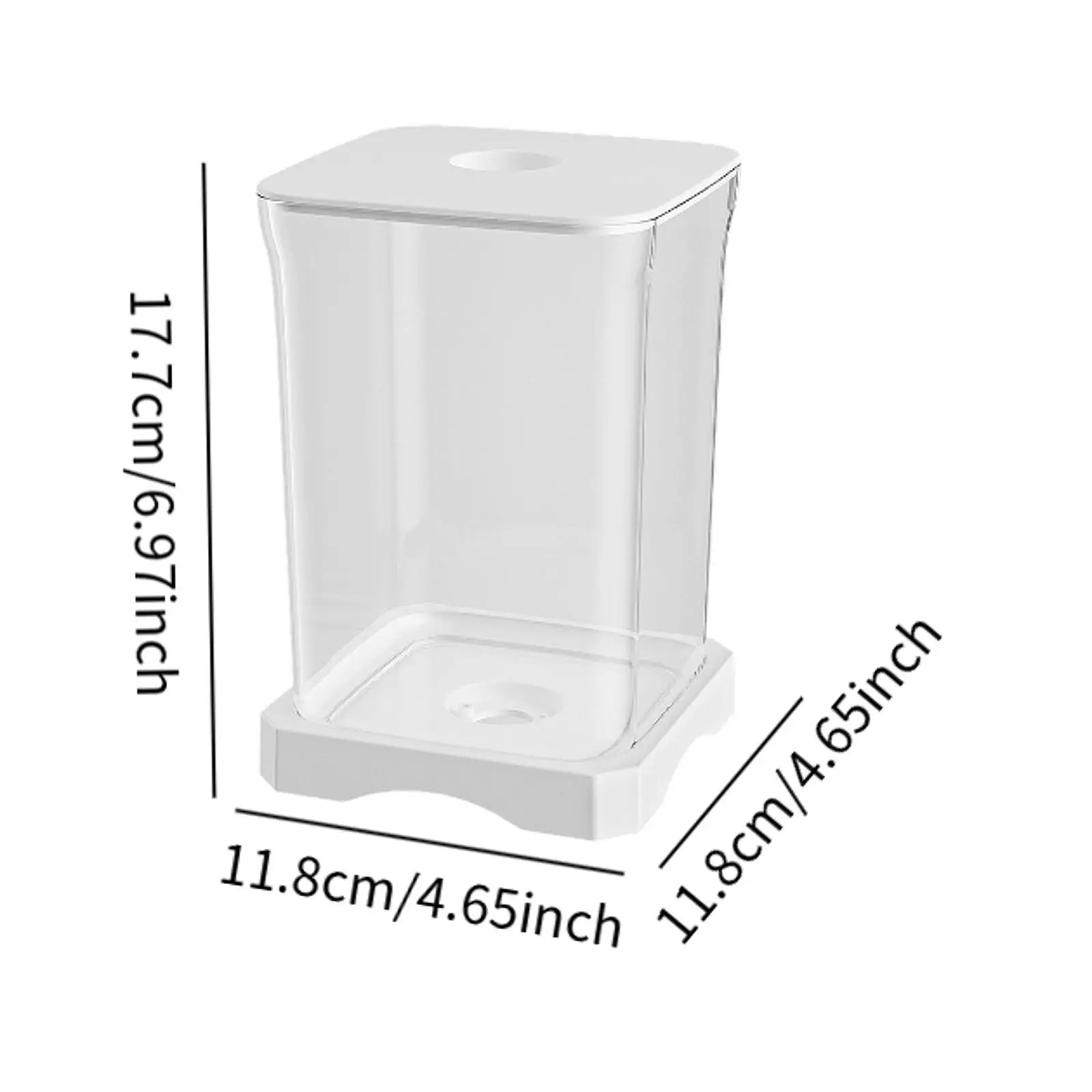 Betta Fish Tank Transparent Small Desktop Aquarium For Home Living Room Frog