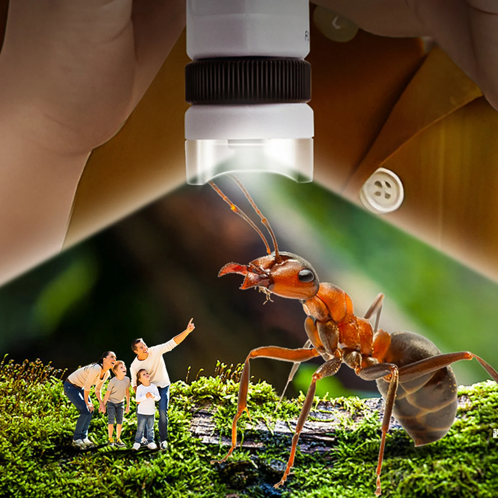 Child Microscope Handheld LED Lighted Zoom Toy