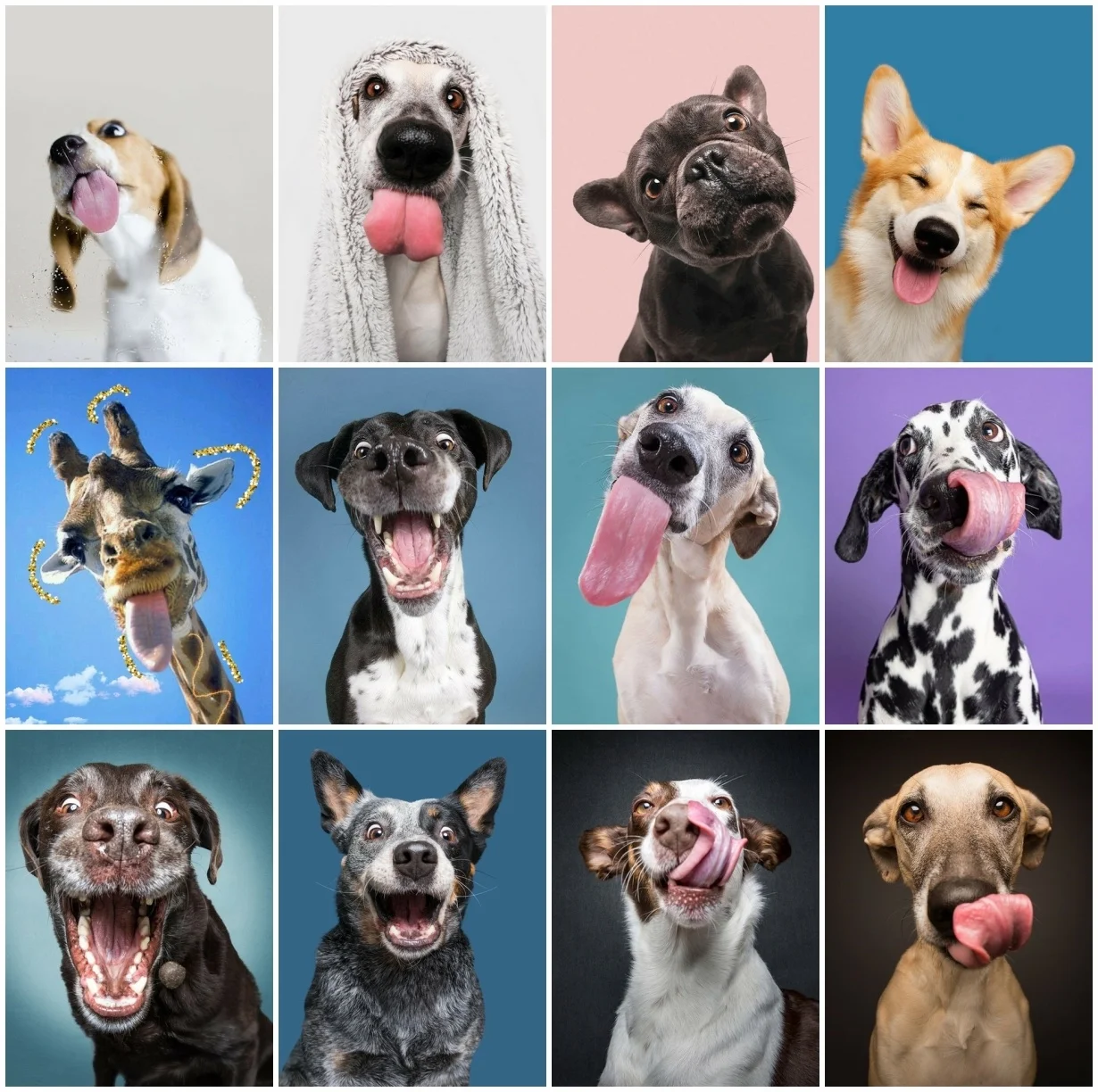 30.jpg_.webp 30.jpg_.webp