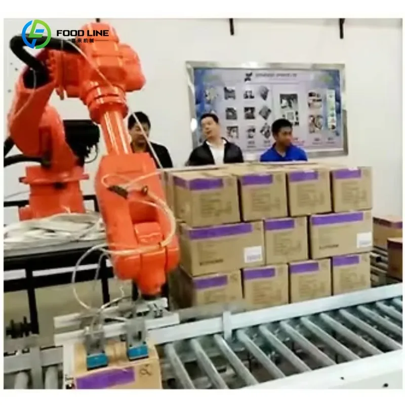 Braccio Robotico Industriale Personalizzato per Operazioni Pick and Place al Miglior Prezzo - immagine 5