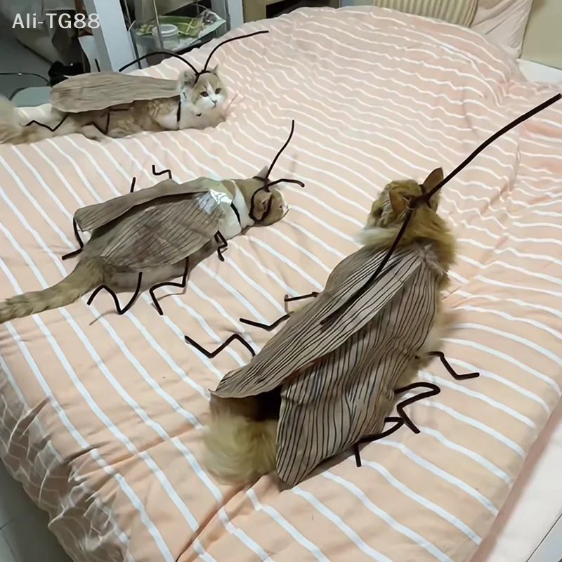 고양이 코스프레 의상 바퀴벌레 의상 애완동물 통기성 의류 재미있는 파티 장식..
