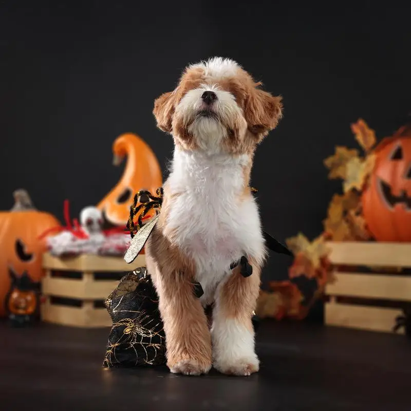 Spider Costume For Dogs Halloween Horror Spider Costume Lightweight Gothic Dog Apparel Funny Pet With Wings For Cats