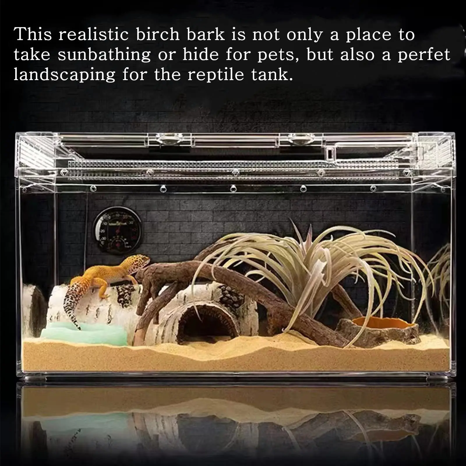 Reptile Breeding Box 4