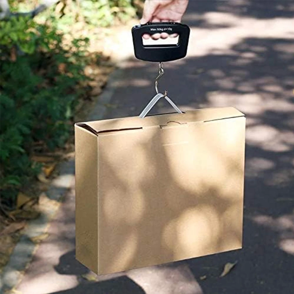 Balance suspendue portable 50kg/110lb - Écran LCD digital - Pour bagages, pêche, pesée voyage avec poignée