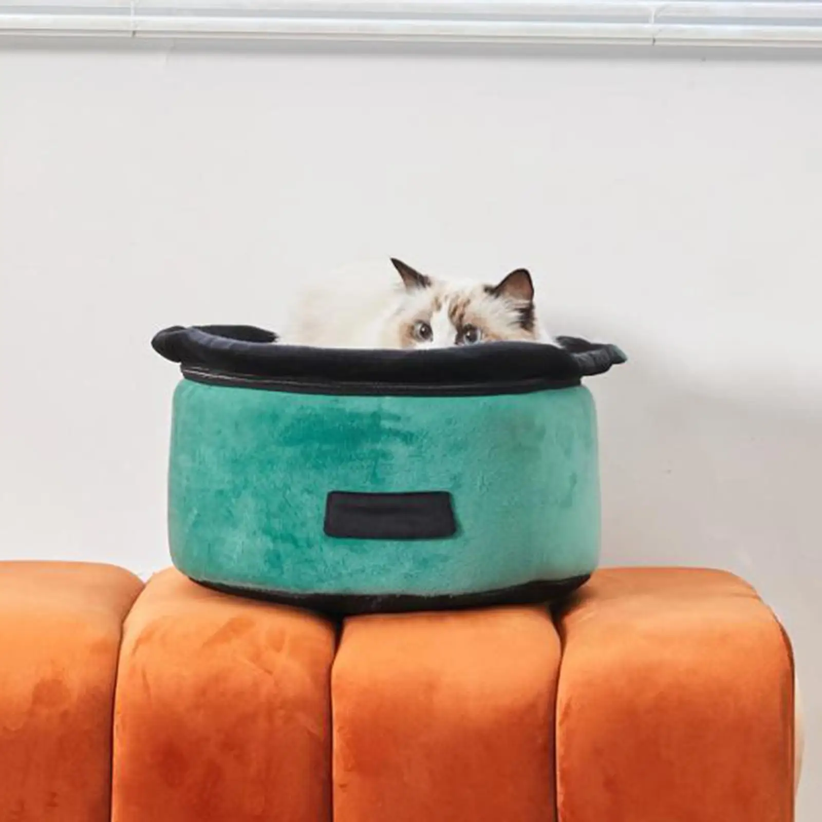 Cats Tunnel Bed with Zipper Washable Training Toy Detachable Easy to Carry Cozy Pet Cave Nest for Senior Cats Rabbits Play Puppy Cats Tunnel Bed with Zipper Washable Training Toy Detachable Easy to Carry Cozy Pet Cave Nest for Senior Cats Rabbits Play Puppy