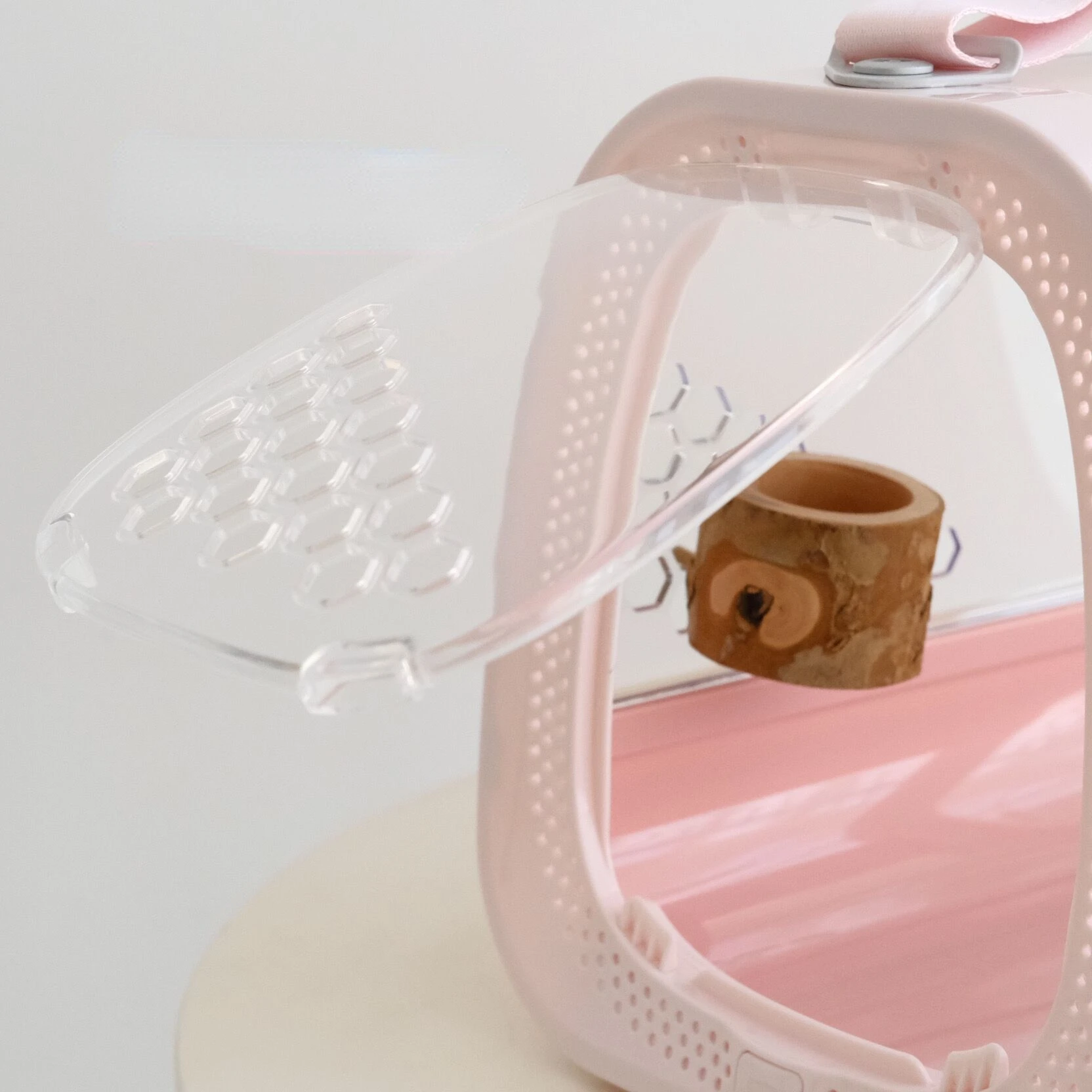 Рисунок 4 - Прозрачный попугай из клетки из