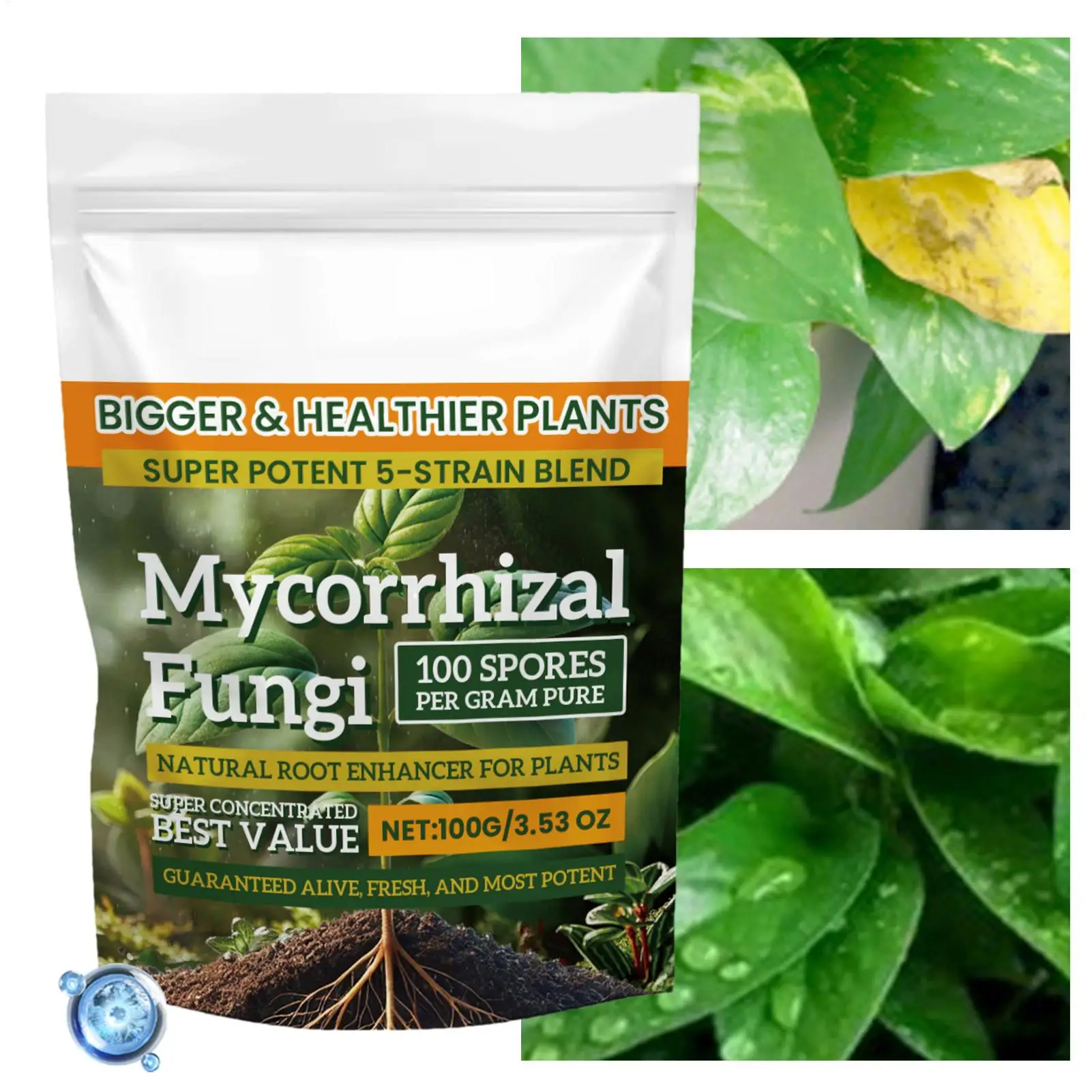 Enhanced Plant Growth Nutrient Powder - 100g Balanced Root Supplement