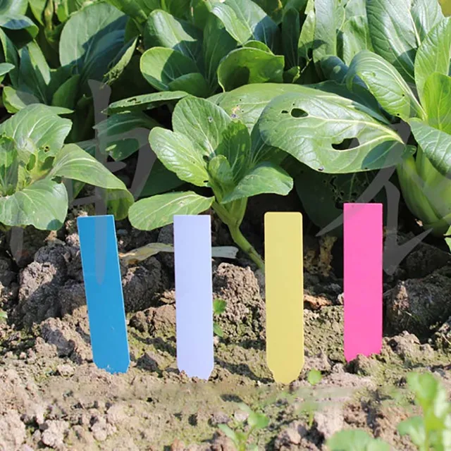 20 Db Műanyag Növényi Címkék Kertészeti Virágcímkék Növény Zamatos Osztályozási Pvc Virágdugók Mérföldkő - Image 4