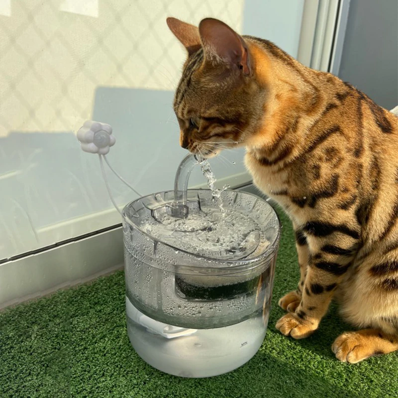 센서가 있는 자동 고양이 물 분수, 고양이 물 디스펜서 센서, 애완 동물 식수대, 고양이 분수, 실내 물 그릇