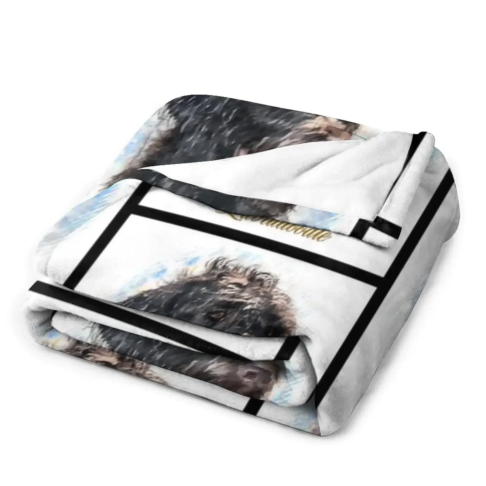 �����ε� ��ȣ�� ���� ���� ������ ���, ���Ÿ� ���� �ö��� ���� ���