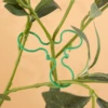 10/50/100Pcs Garden Vine Strapping Clips Plastic Plant Rattan Climbing Wall Fixture Buckle Tomato Grapevine Hook Support Tool 5