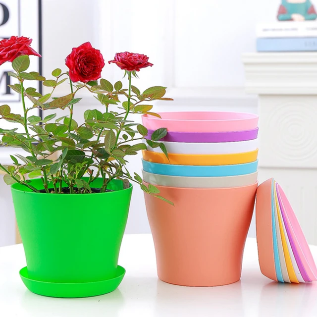 Pot de fleurs rond coloré, plantes succulentes, pour pépinière, plateau de  plantes de jardin, décoration de bureau, matériel de plantation - AliExpress