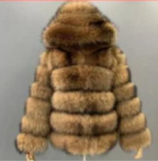 5 levels-hooded