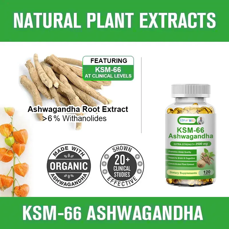 Natural KSM 66 Ashwagandha Supplement Improves Vitality Energy Levels Exercise Endurance Adult ashwagandha supplement