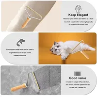Portable Lint Remover Pet Hair Remover Brush Carpet Wool Coat Clothes Lint Pellet Manual Shaver Removal Scraper Cleaning Tool 2