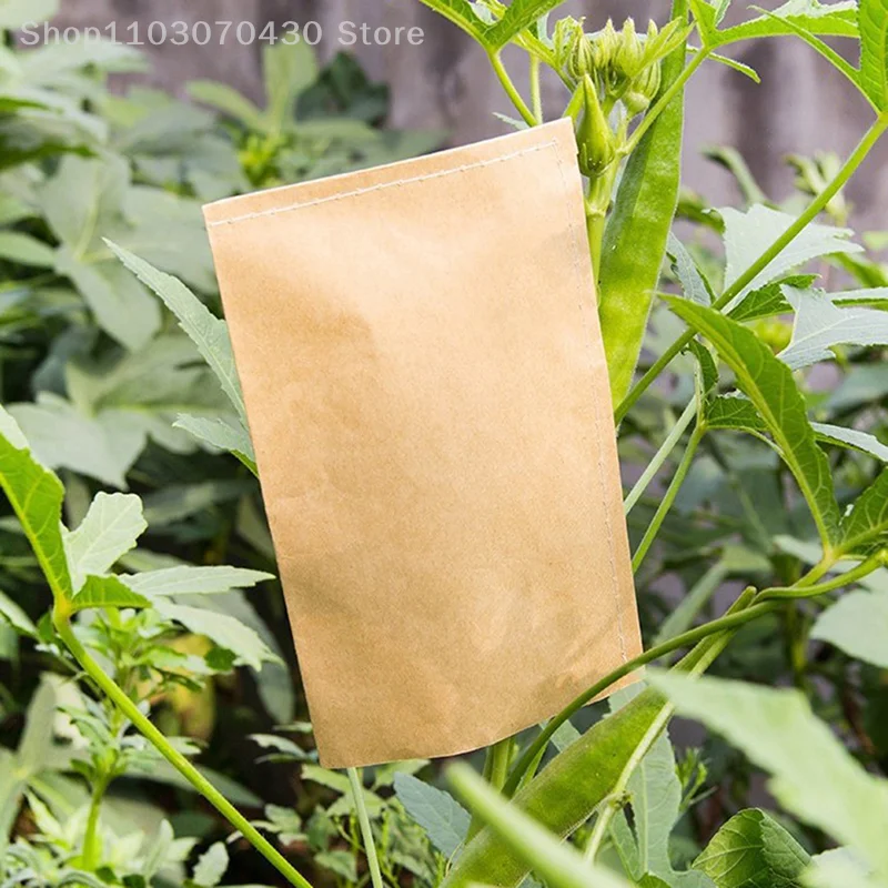 

100Pcs Kraft Paper Seed Protective Envelope Storage Bags Mini Envelopes Packets