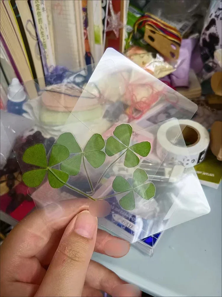 5Pcs Lucky Clover Postcards Natural Grass Transparent Wishing Cards