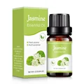 Jasmine B 1pc