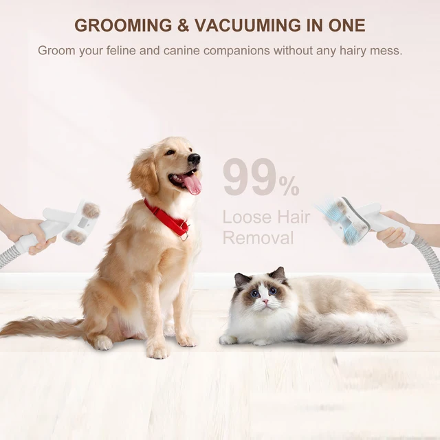 JIGOO Unveils P300: An Ultimate Grooming Vacuum for Pets to Enjoy