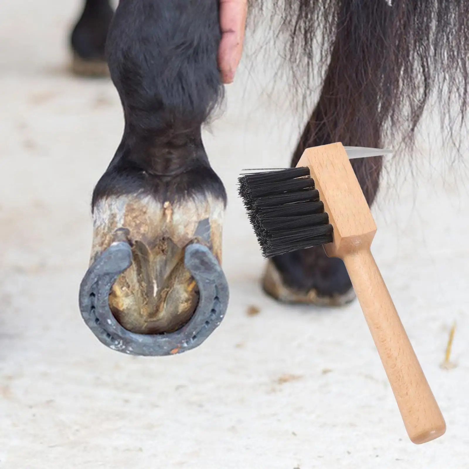 

Horses Hoof Pick Brush with Wooden Handle Massage Tool for Pigs Goats Cattle