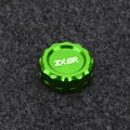 Green with ZX6R