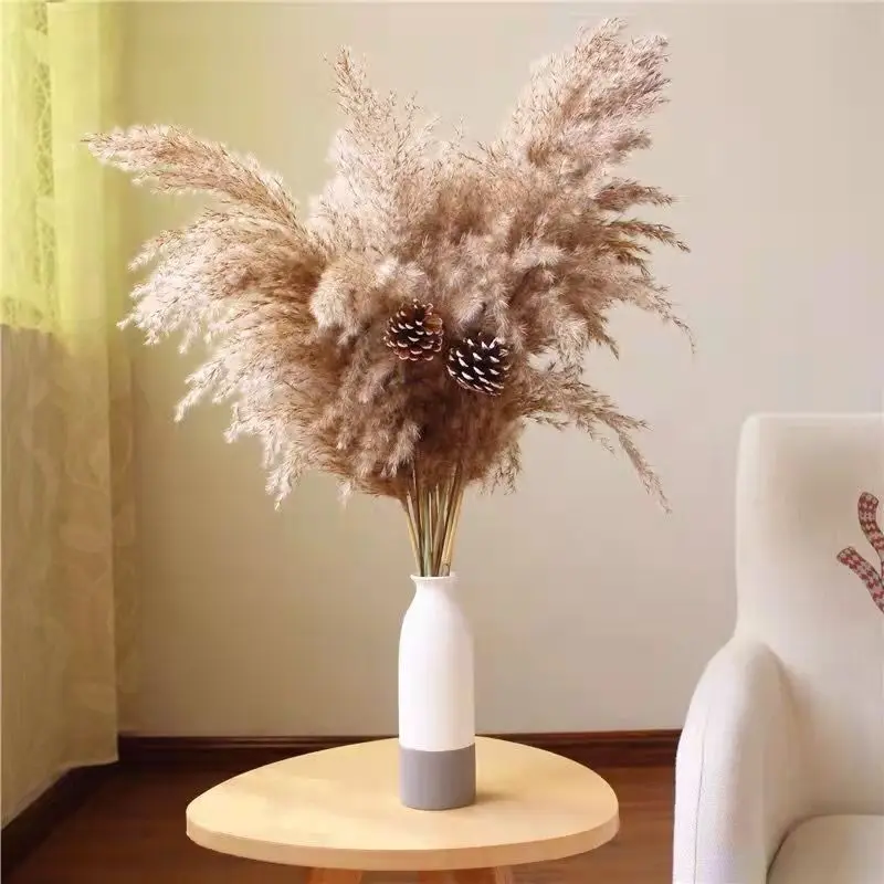 

Pampas Grass Dried Natural Flowers Bouquet Party Phragmites Reed Wedding Decoration Dried Flower Arrangement Boho Home Decor