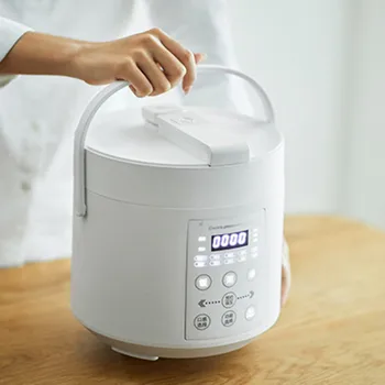 Mini Ceramic Rice Cooker 2