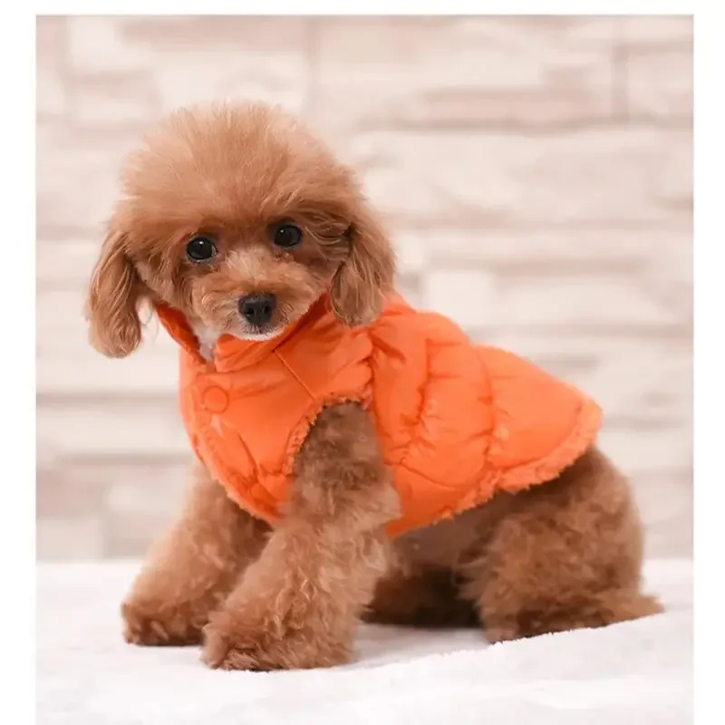 Warm Dog Clothes Winter Pet Down Jacket Dog Clothes for Small Dogs Chihuahua French Bulldog Cats Pet Costume Puppy Coats