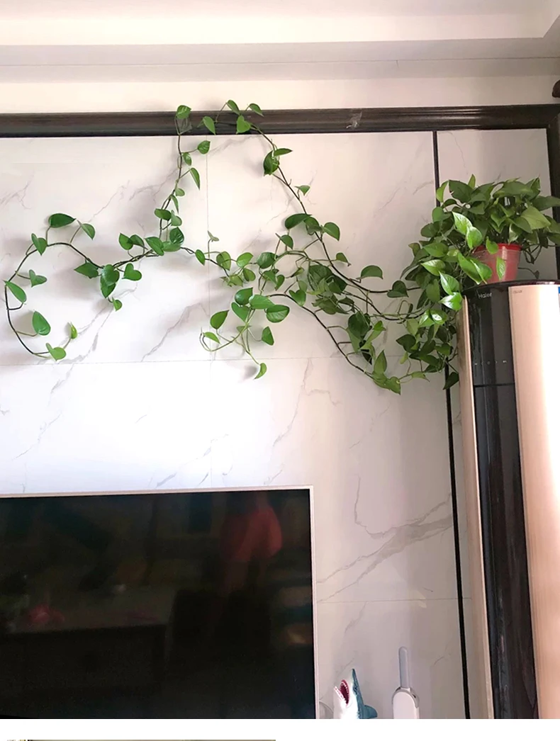 Treillis Pour Plantes Grimpantes Tuteur Plante Grimpantes, 31.5 Cm Tuteur Plante Interieur, Support Support Feuille