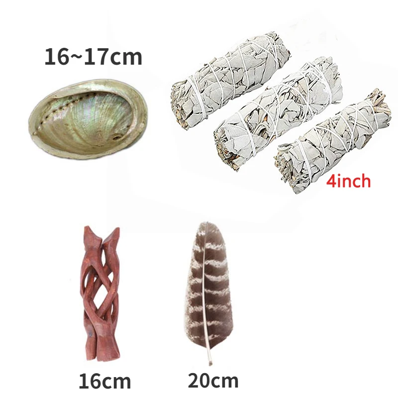White Sage Balone Shell Holder Turchia Feather Set Fragrance Purifica La Mente Tempio Buddista Yoga Purificante Healing Supply Decor