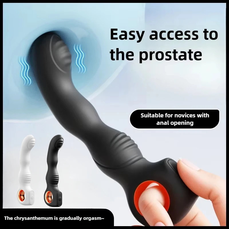 Vibrierende männliche Prostata-Massage, Fernbedienung, Analplug, Buttplugs für Männer, Masturbieren, G-Punkt, Stimulieren, schwules Analsexspielzeug ab 18 Jahren 1