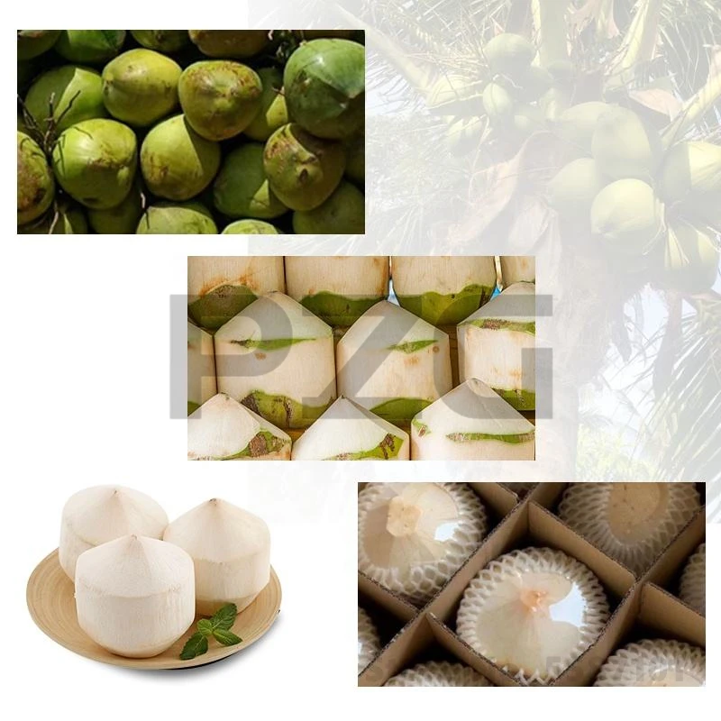 Automatic Electric Green Coconut Husk Remove Grater Peeler Dehusk Scraper Open Opener Cutter Cut Peel Machine 6