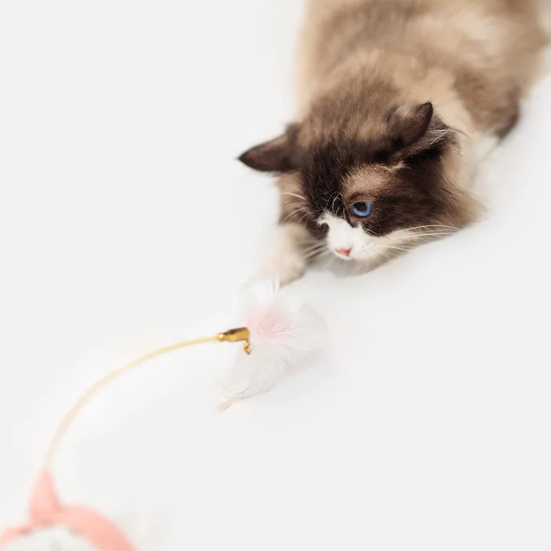 Silicone collar, cat teasing stick, cat toy, self fun, multi-color spring feathers, teasing cats to relieve boredom
